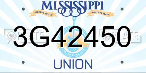 3G42450 Mississippi License Plate