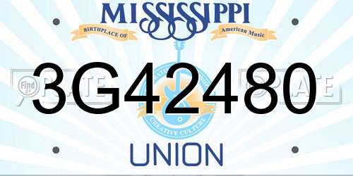 3G42480 Mississippi License Plate