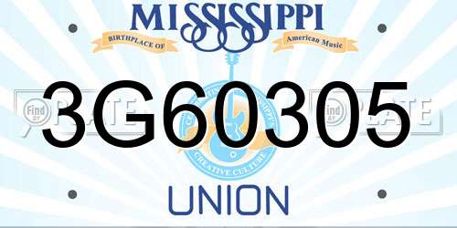 3G60305 Mississippi License Plate