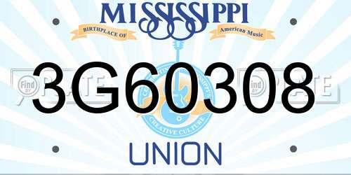 3G60308 Mississippi License Plate