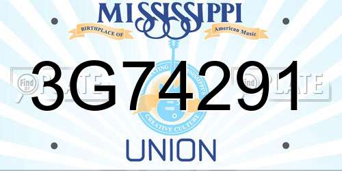 3G74291 Mississippi License Plate