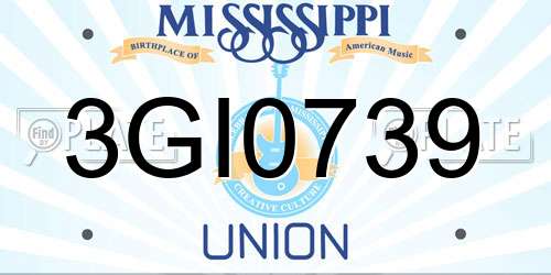 3GI0739 Mississippi License Plate