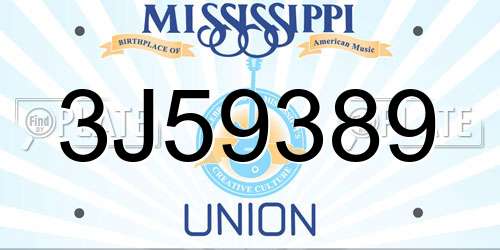 3J59389 Mississippi License Plate