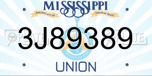 3J89389 Mississippi License Plate