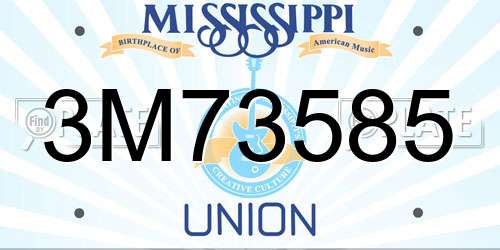 3M73585 Mississippi License Plate
