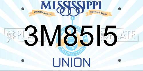 3M85I5 Mississippi License Plate