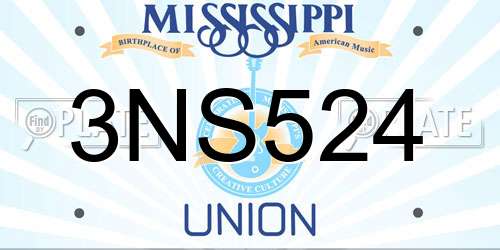 3NS524 Mississippi License Plate