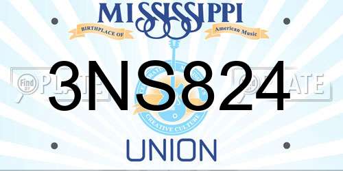3NS824 Mississippi License Plate