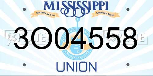 3O04558 Mississippi License Plate