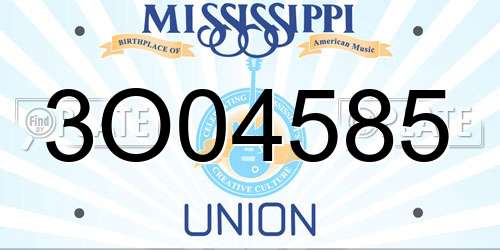 3O04585 Mississippi License Plate