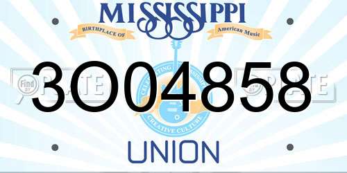 3O04858 Mississippi License Plate