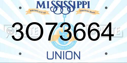 3O73664 Mississippi License Plate