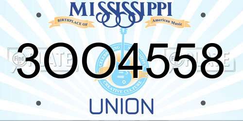 3OO4558 Mississippi License Plate