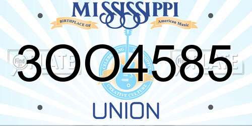 3OO4585 Mississippi License Plate