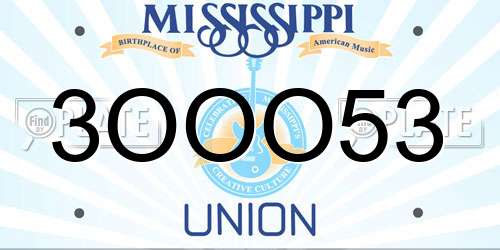 3OOO53 Mississippi License Plate