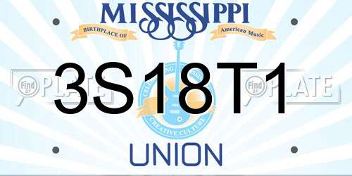 3S18T1 Mississippi License Plate