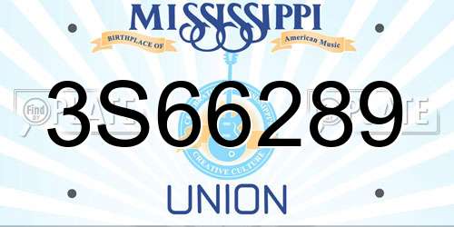 3S66289 Mississippi License Plate