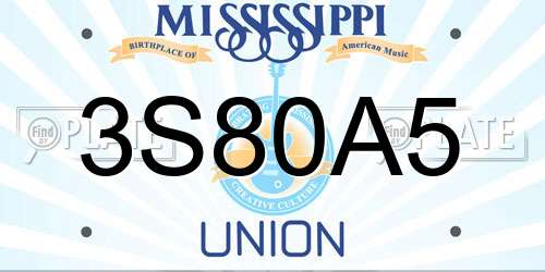 3S80A5 Mississippi License Plate