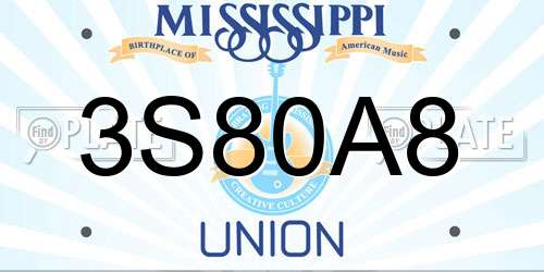 3S80A8 Mississippi License Plate