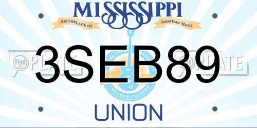 3SEB89 Mississippi License Plate