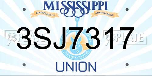 3SJ7317 Mississippi License Plate