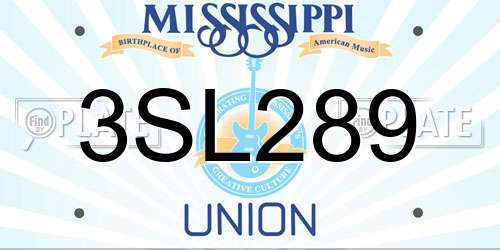 3SL289 Mississippi License Plate