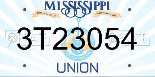3T23054 Mississippi License Plate
