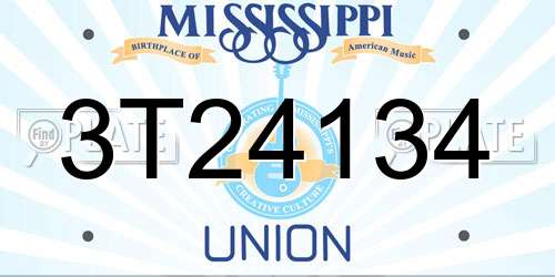 3T24134 Mississippi License Plate