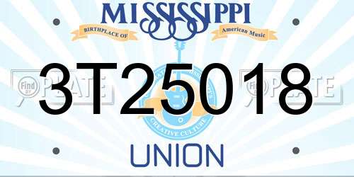 3T25018 Mississippi License Plate