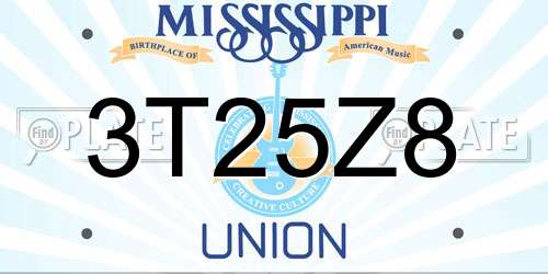 3T25Z8 Mississippi License Plate
