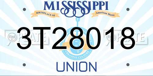 3T28018 Mississippi License Plate