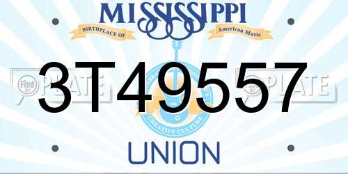 3T49557 Mississippi License Plate