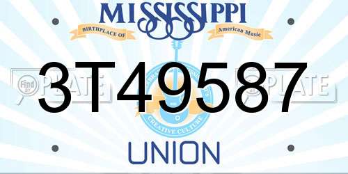 3T49587 Mississippi License Plate