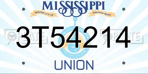 3T54214 Mississippi License Plate