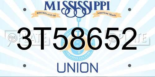 3T58652 Mississippi License Plate