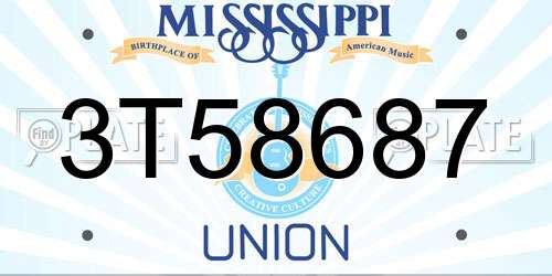 3T58687 Mississippi License Plate
