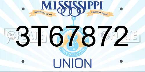 3T67872 Mississippi License Plate