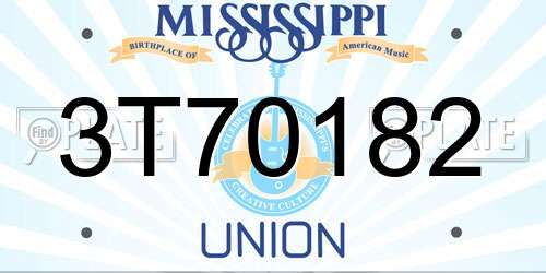 3T70182 Mississippi License Plate