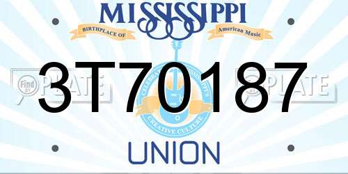 3T70187 Mississippi License Plate
