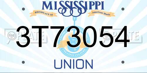 3T73054 Mississippi License Plate