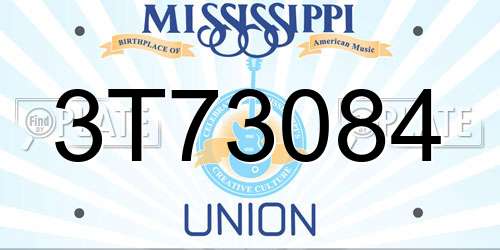3T73084 Mississippi License Plate