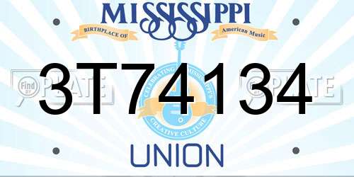 3T74134 Mississippi License Plate
