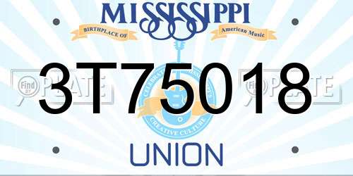 3T75018 Mississippi License Plate