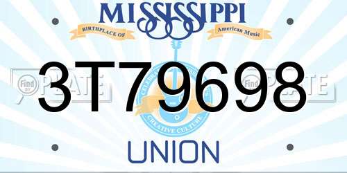 3T79698 Mississippi License Plate