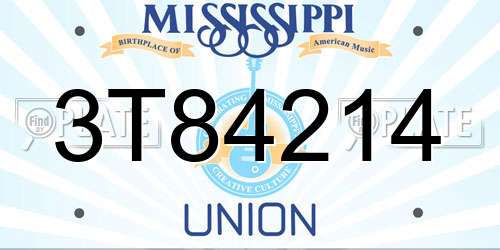 3T84214 Mississippi License Plate
