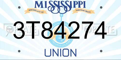 3T84274 Mississippi License Plate