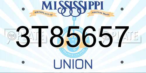 3T85657 Mississippi License Plate