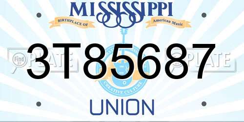 3T85687 Mississippi License Plate