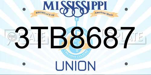 3TB8687 Mississippi License Plate
