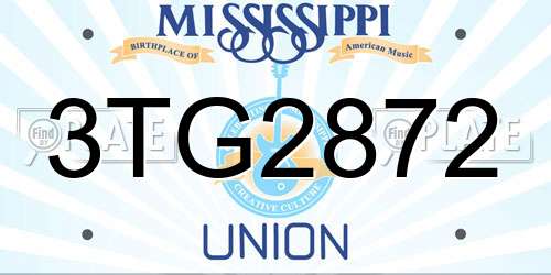 3TG2872 Mississippi License Plate